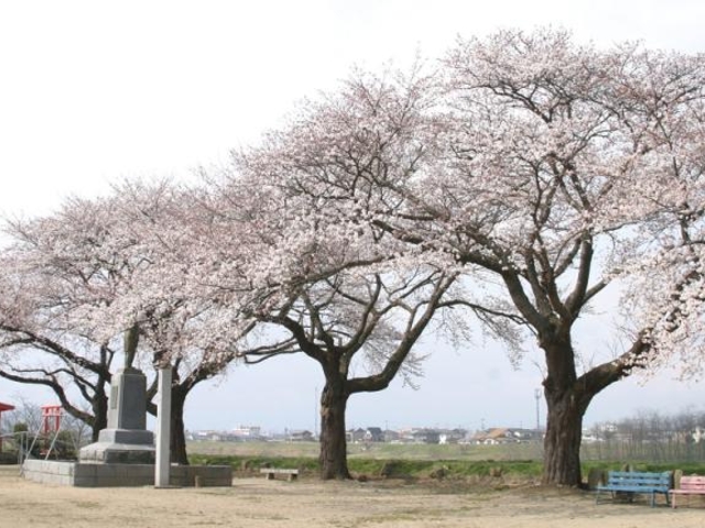 金子公園_金子公園