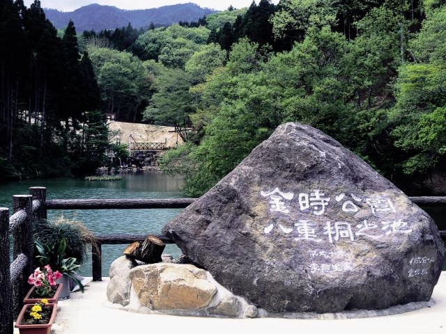 八重桐の池の写真1