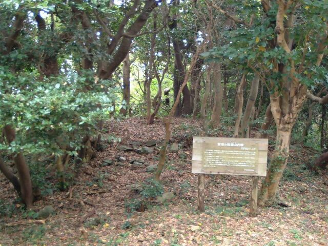岩屋山古墳_岩屋山古墳