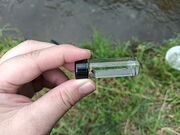 ペーチャン川砂金掘体験場の写真3