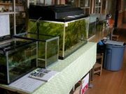 NPO法人 りょうぜん里山がっこうの写真2