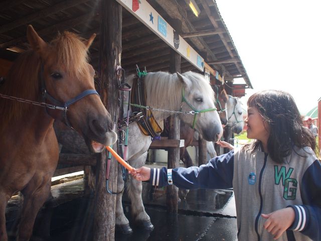 アースドリーム角山農場