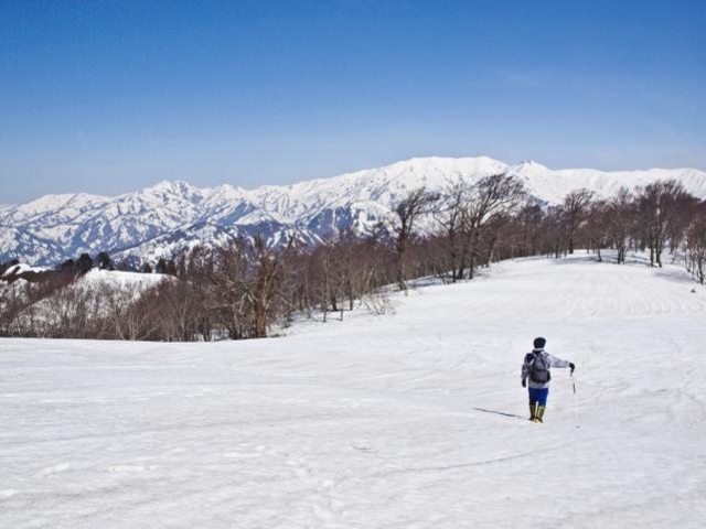 高陽山(眺望)_高陽山