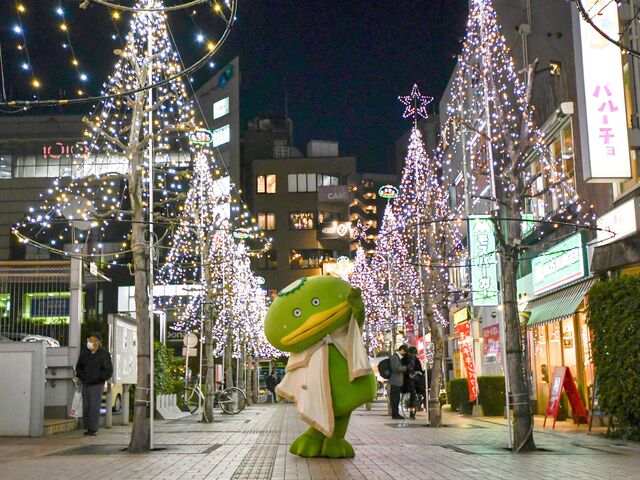 志木駅東口駅前イルミネーションの写真1