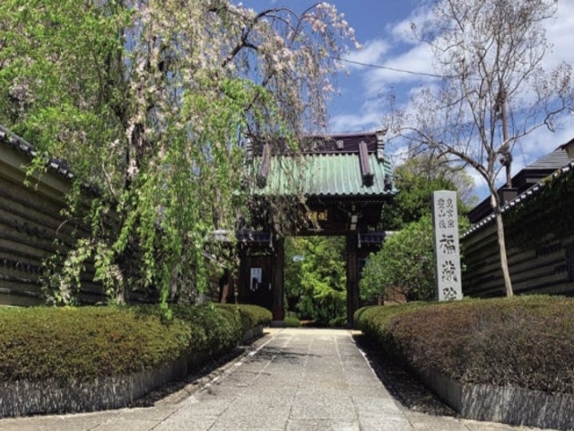 福蔵院_福蔵院