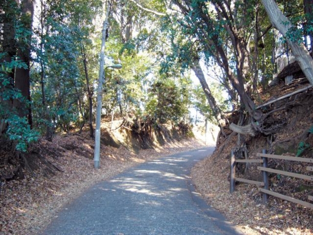 大坂 (若葉町3丁目第3緑地)の写真1