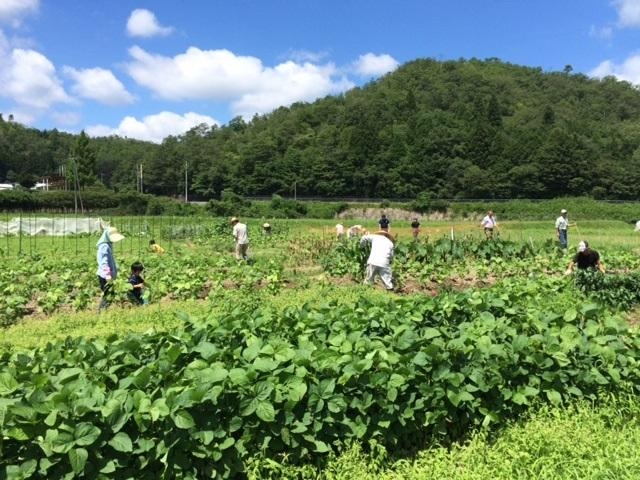 瑞穂マスターズ農園の写真1