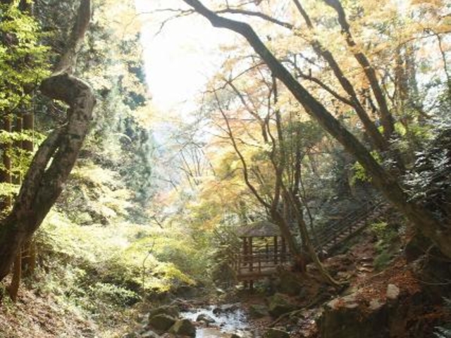 那岐山麓遊歩道