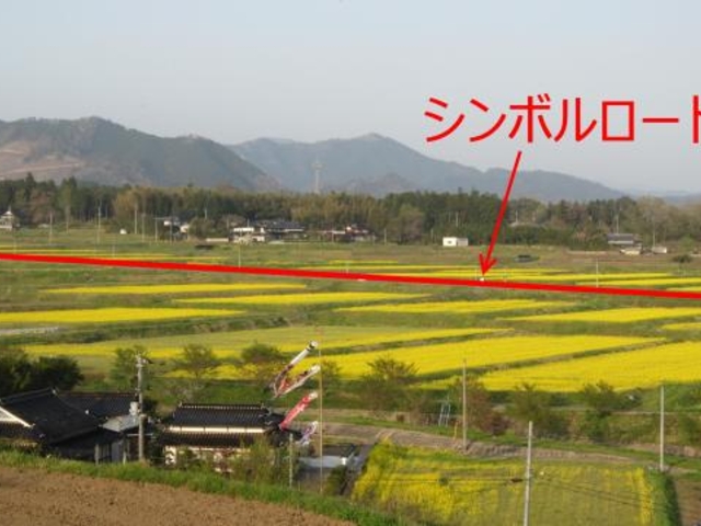 奈義の菜の花畑