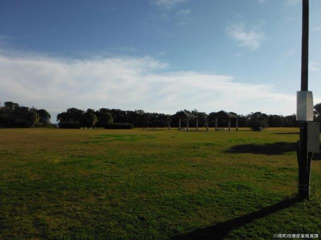 通浜海浜公園の写真1