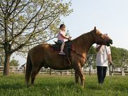 アースドリーム角山農場の写真2