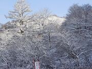 上砂川町の冬の写真1