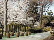 染地せせらぎの散歩道の写真1