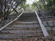 田尾茶臼山古墳の写真3