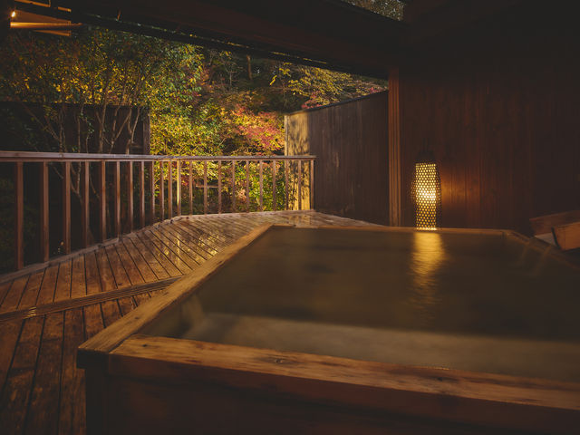 奥たまかわ温泉すわやの写真1