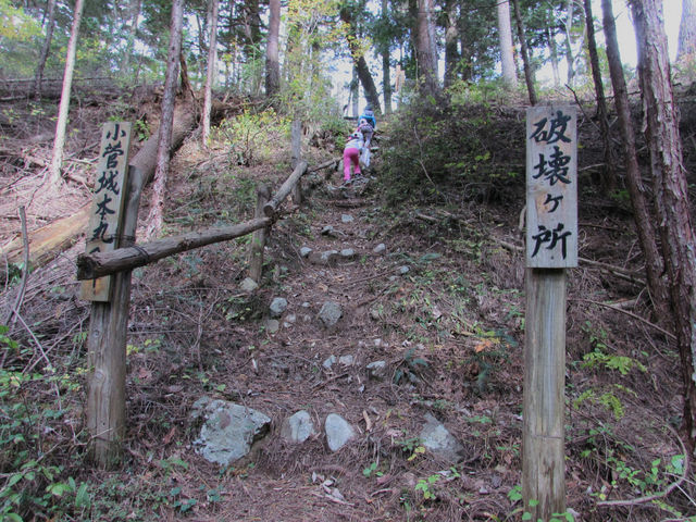 小菅城跡 天神山