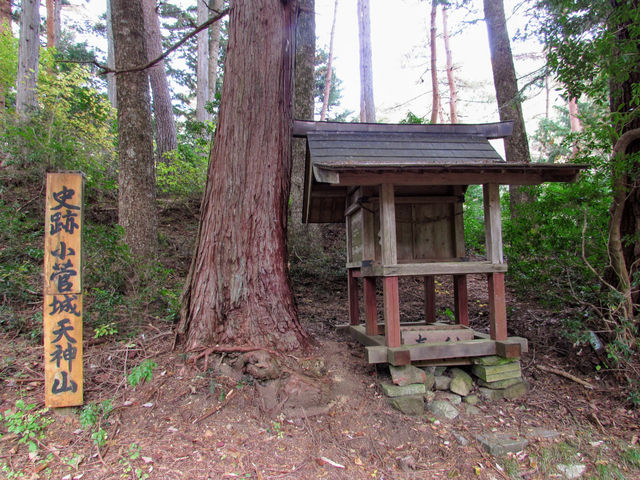 小菅城跡 天神山