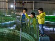 下松市栽培漁業センター(ひらめきパーク笠戸島)の写真2