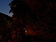 呉ダム渓流公園の写真3