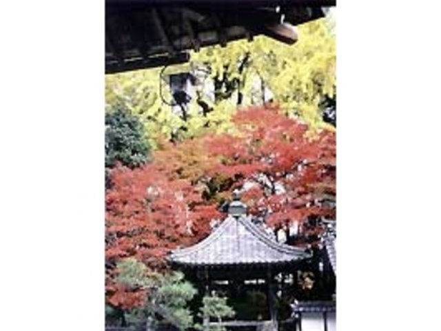 長安寺の紅葉