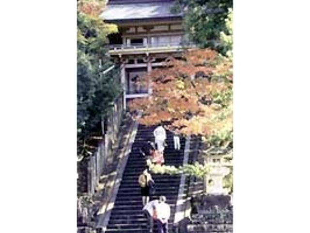 金刀比羅神社の紅葉の写真1