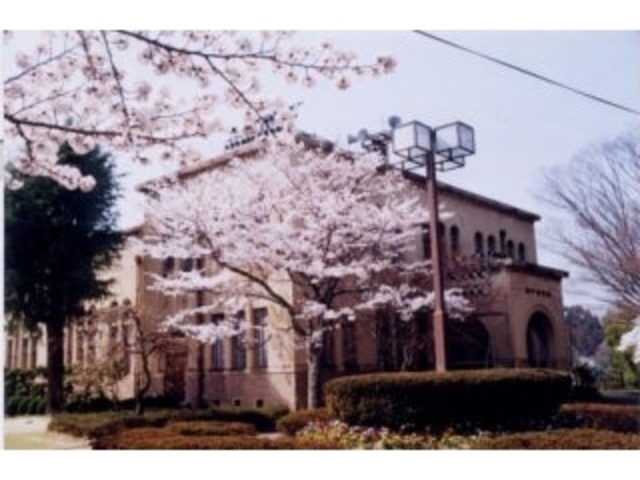 丹後震災記念館の桜の写真1