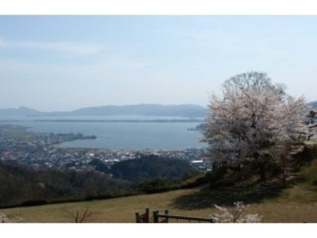 大内峠一字観公園の桜の写真1
