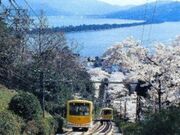 宮津市の桜の写真2