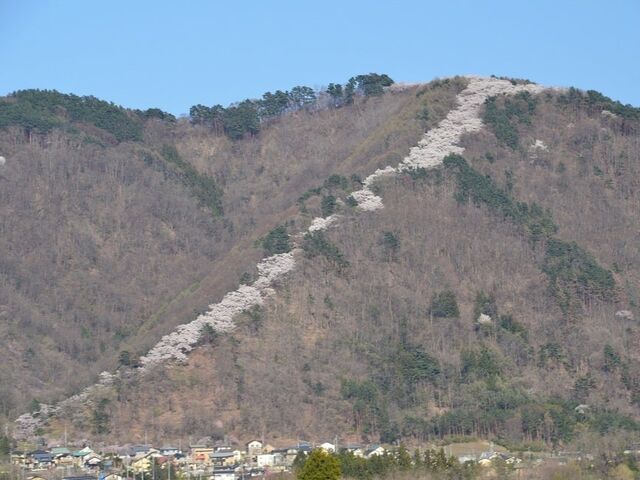 光城山の写真1