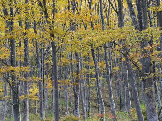 旧国鉄篠ノ井線廃線敷の写真1
