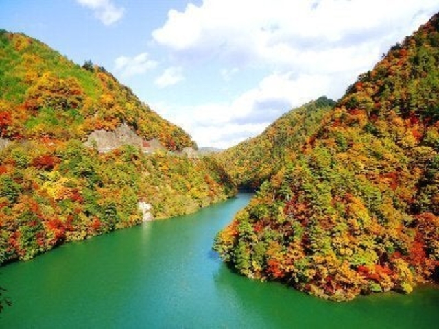 天竜川渓谷(紅葉)の写真1