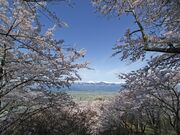 光城山の写真2