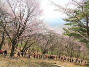 光城山の写真3
