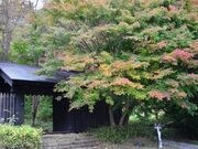 小岩嶽城址の写真1