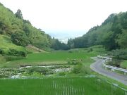 天伯公園の写真2