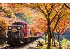 嵯峨野トロッコ列車 運行の写真1