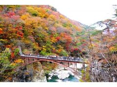 鬼怒川・龍王峡の紅葉の写真1