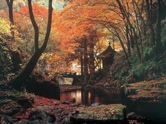 蓬莱山の紅葉の写真1