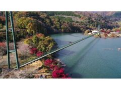もみじ谷大吊橋の紅葉の写真1