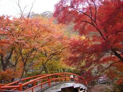 伊香保温泉の紅葉の写真1