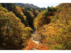 国指定名勝「吾妻峡」の紅葉の写真1