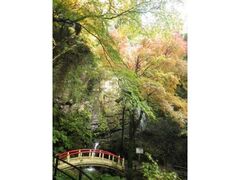 黒山三滝の紅葉の写真1