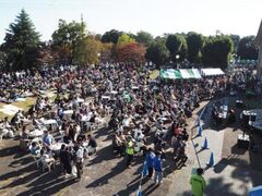 うたやの森フェスティバルの写真1