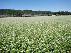 ちちぶ荒川新そばまつりの写真1
