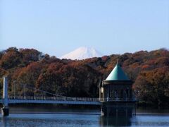 狭山湖の紅葉の写真1
