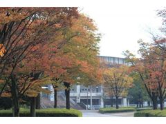 熊谷スポーツ文化公園の紅葉の写真1