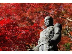 東郷公園の紅葉の写真1