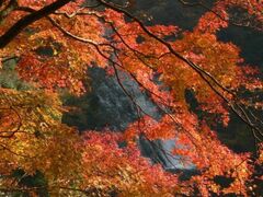 養老渓谷の紅葉の写真1