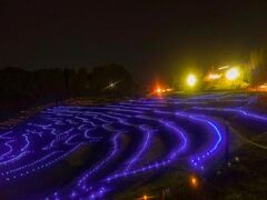 大山千枚田「棚田のあかり」の写真1