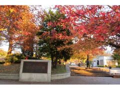 県立青葉の森公園の紅葉の写真1